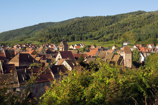 Riquewihr is in a small depression formed by a stream called Le Sembach which flows down from the forested Vosges hills towards the plain of Alsace (photo © hidden europe).