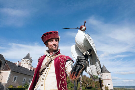 Falconer Vladimir Garaj in historical costume with a white gyrfalcon at Schloss Rosenburg, Lower Austria (photo © Rudolf Abraham).