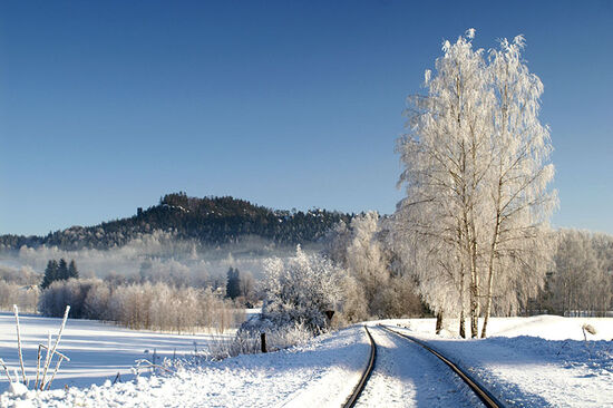 Winter in the hills of northern Bohemia (photo © Tomas Simek).